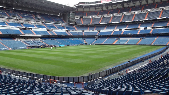 Bale
