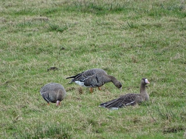 为自己设定 为自己设定